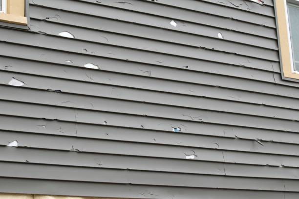 Best Siding for New Construction  in Superior, WI